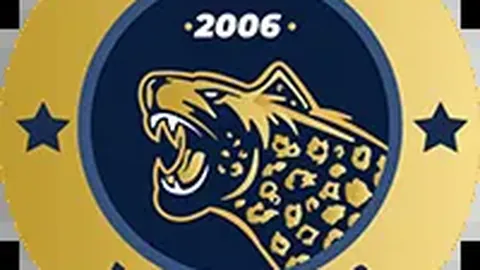 红色沙漠白金玩家分享实战攻略